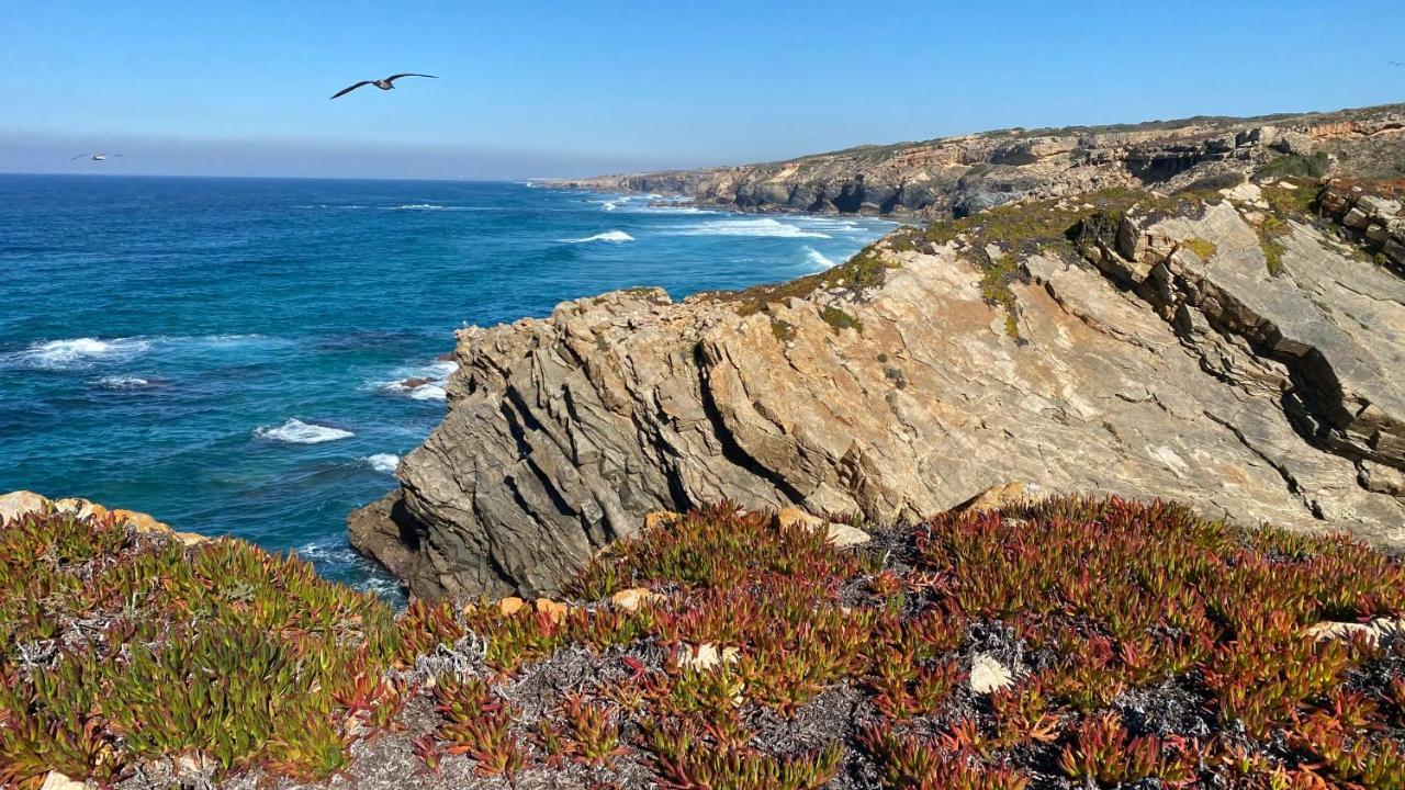 Garden House & Ocean View By Nature Bliss Vila Nova de Milfontes Luaran gambar